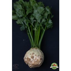 Zöldes zeller, Ft/db, magyar