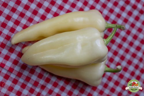 Tv paprika, Ft/kg, 