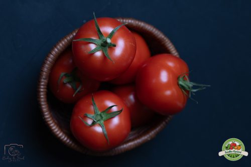 Paradicsom, kerek ,  Ft/kg, magyar