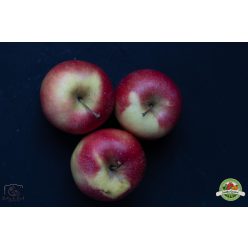 Gála alma lédig, Ft/kg, magyar 