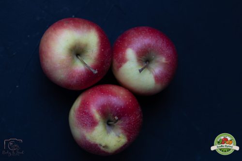 Gála alma lédig, Ft/kg, magyar 