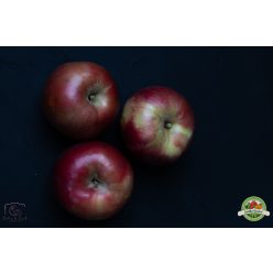 Idared alma lédig, Ft/kg, 