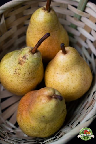 Vilmos körte lédig, Ft/kg