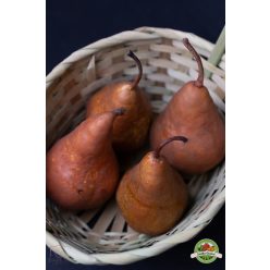 Bosc Kobak körte, Ft/kg, magyar 