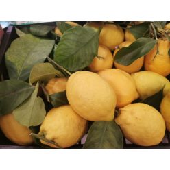 Kezeletlen citrom lédig, Ft/kg