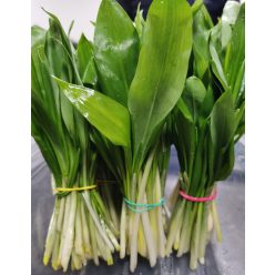 Medvehagyma, magyar, Ft/cs. 