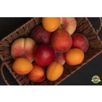 Csonthéjas gyümölcsök