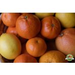 Citrusfélék és kiwi 