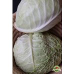 Káposztafélék, karfiol, brokkoli